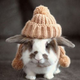 Illustration for article titled BREAKING NEWS: BUNNY BOMBING HUGE SUCCESS!